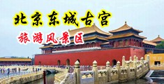 骚逼美女让我猛插她的小穴视频中国北京-东城古宫旅游风景区